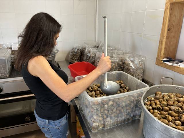 Lumache fritte ricetta gustosa