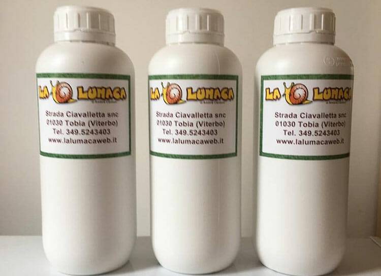 Allevamento Lumache bava di lumaca pura