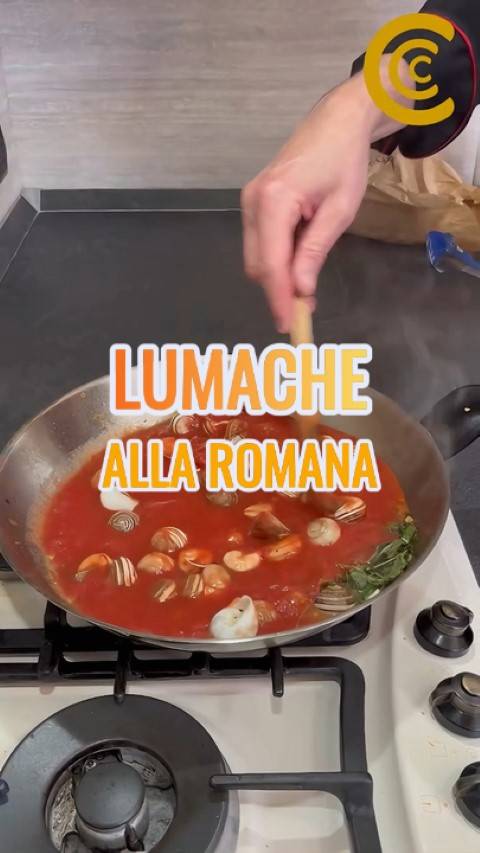 Ricetta lumache alla romana