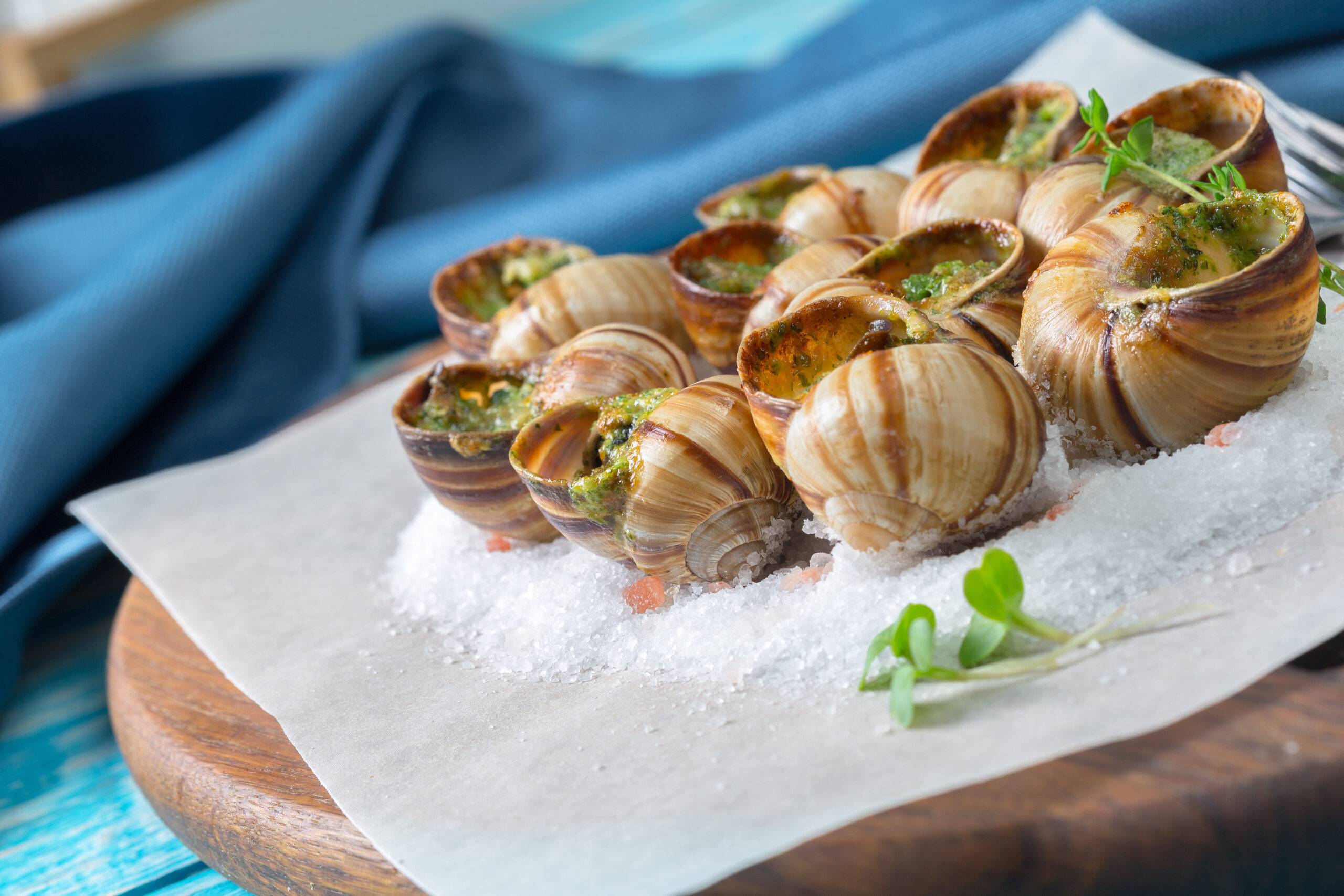 Piatto di lumache da gastronomia