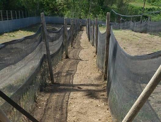 prodotti per nuovi elicicoltori