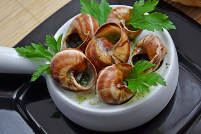 lumache da mangiare