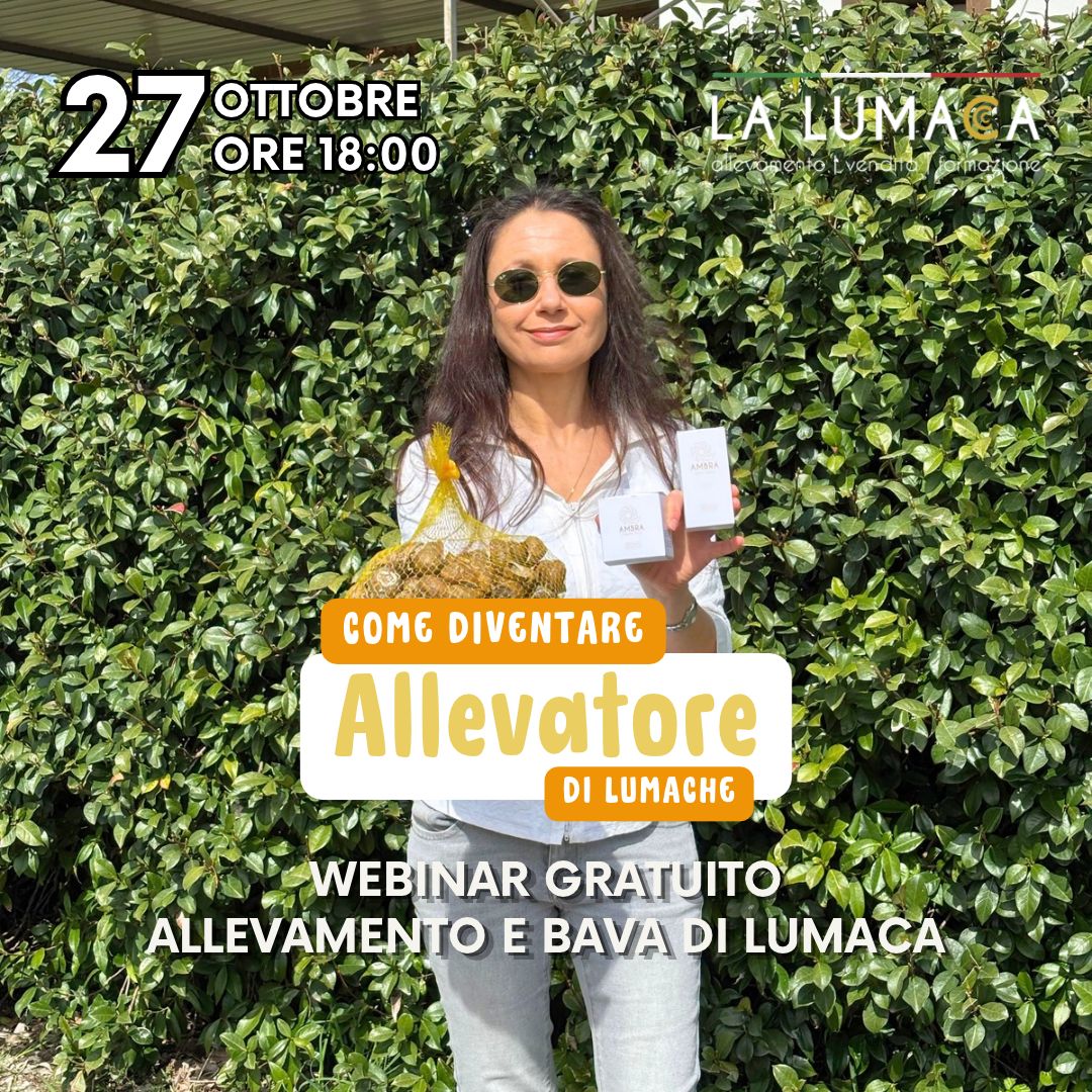 webinargratuito27ottobre2026