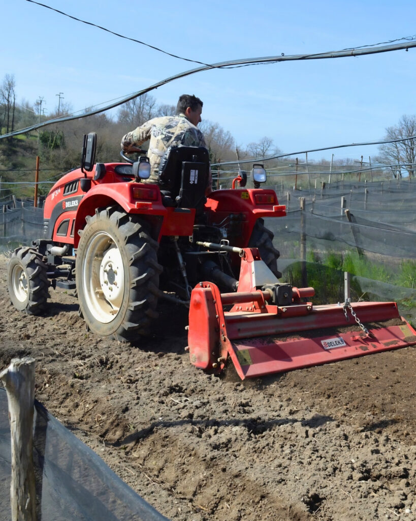 guadagnare con le lumache preparazione terreno